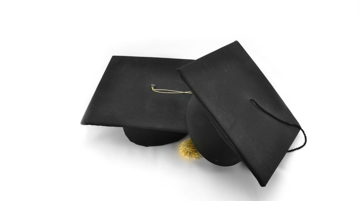 How dual degrees help students develop multi-disciplinary skills